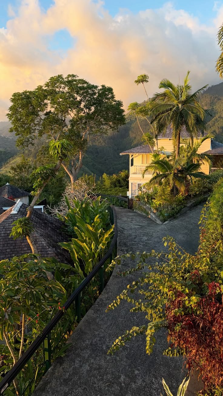 Jamaican river and nature experience