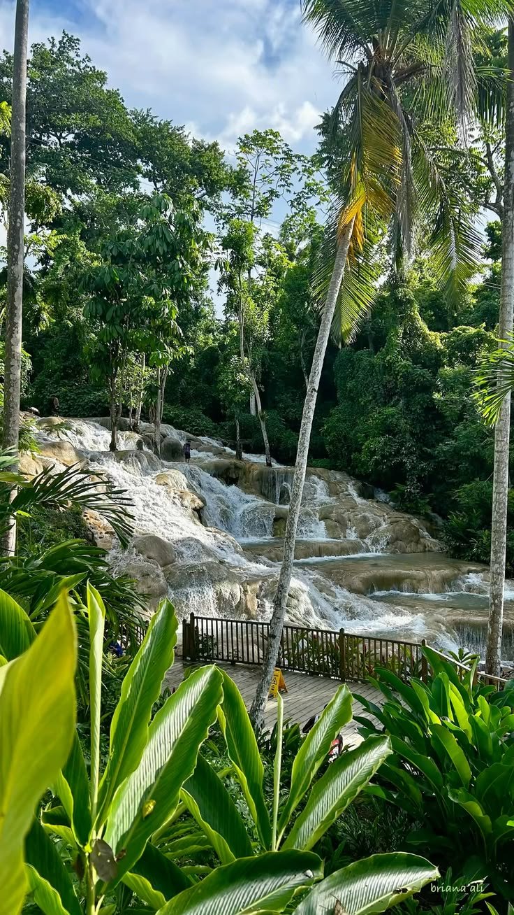 Jamaican river and nature