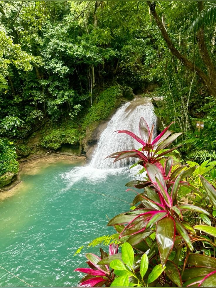 Vibrant Jamaica adventure and excursion