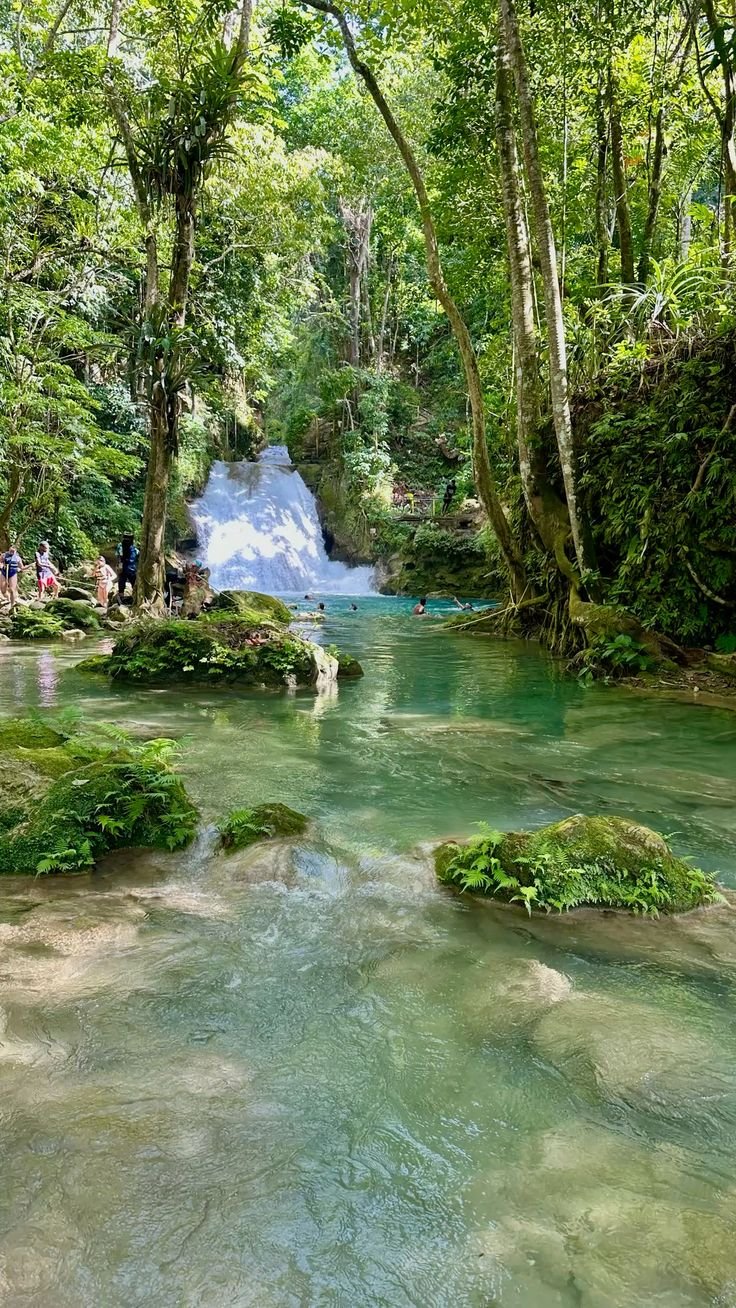 Jamaican river and nature experience